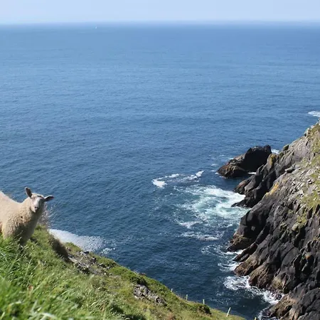 Bay View By Trident Homes