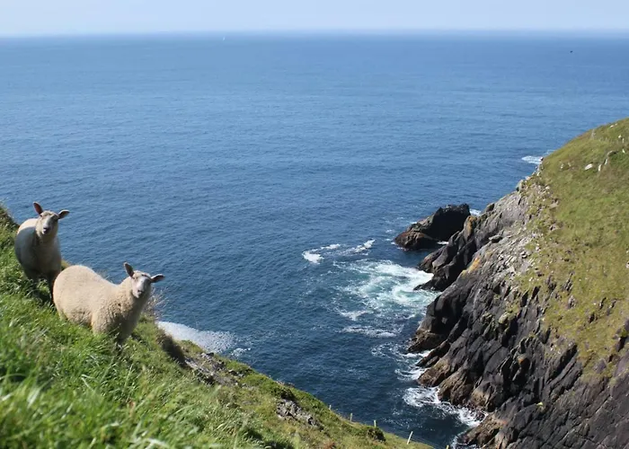 Bay View By Trident Homes